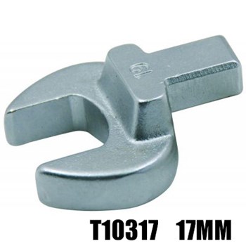 T10317